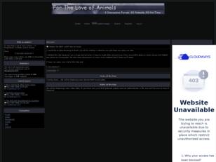 Forum free : All Animals All The Time